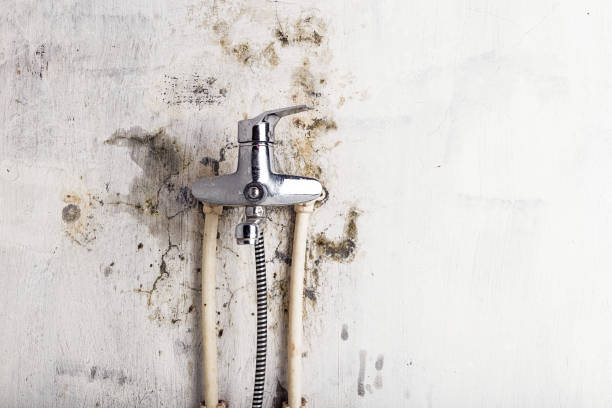 Water Damage Restoration in Appalachia, VA