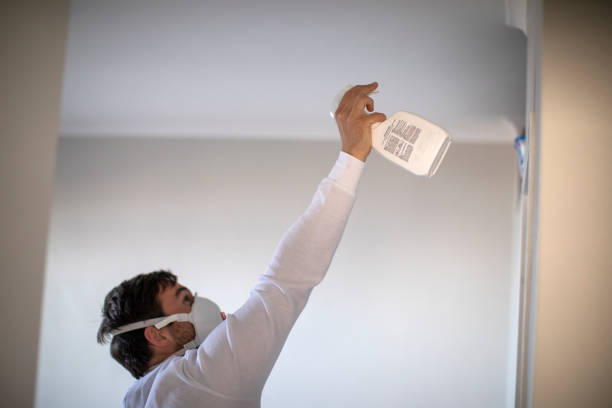 Best Local Mold Removal Service  in Appalachia, VA