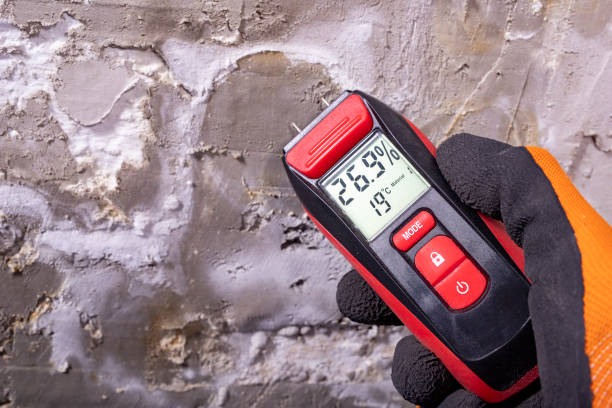 Best Mold Cleaning Services  in Appalachia, VA
