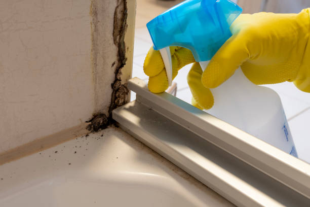 Best Attic Mold Removal  in Appalachia, VA