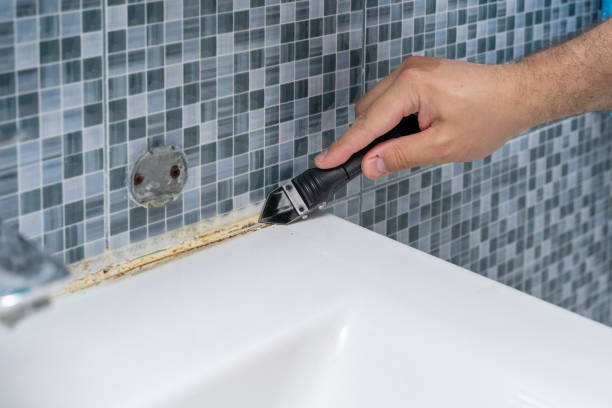 Best Mold Remediation  in Appalachia, VA