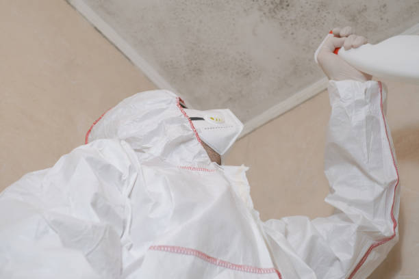 Best Certified Mold Removal  in Appalachia, VA