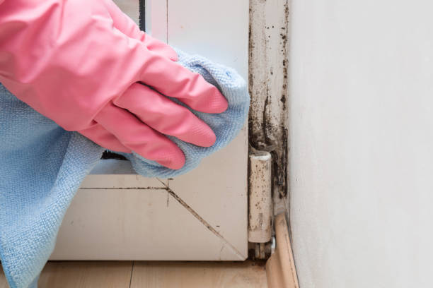 Best Mold Testing  in Appalachia, VA